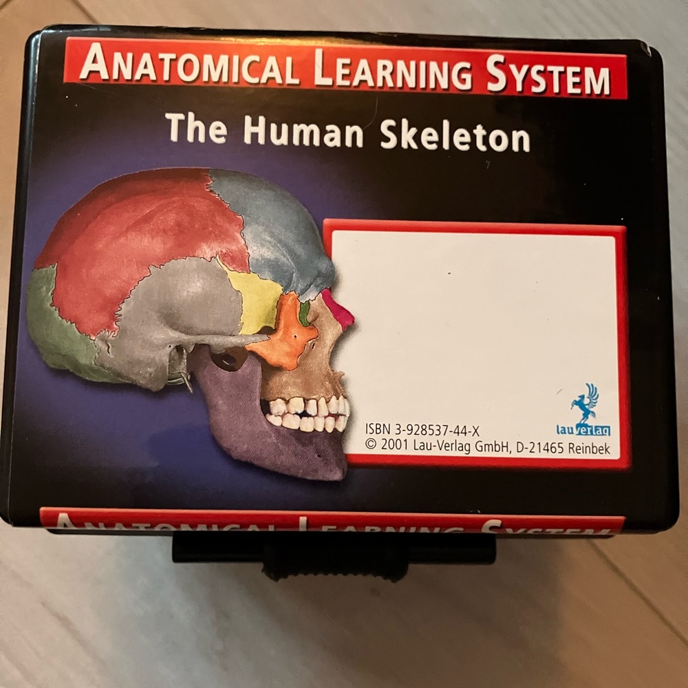 Anatomical Learning System - Human Skeleton - bones, joints, ligaments
